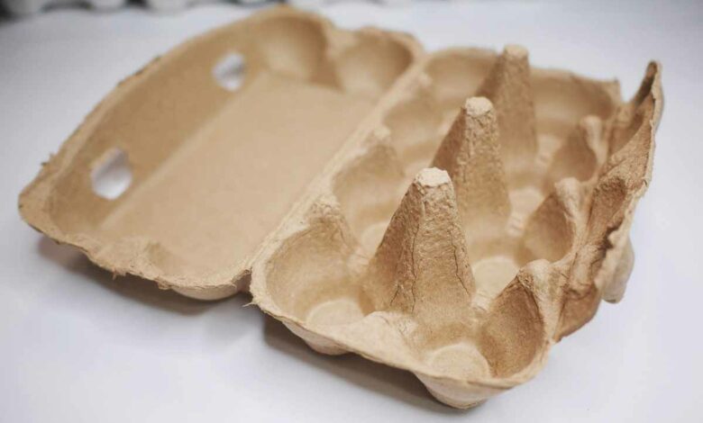 Des boites à œuf utilisées pour une isolation acoustique et thermique.