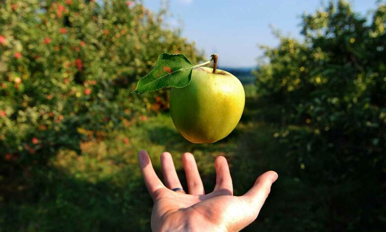 Produire de l'énergie avec la gravité, une chimère ?