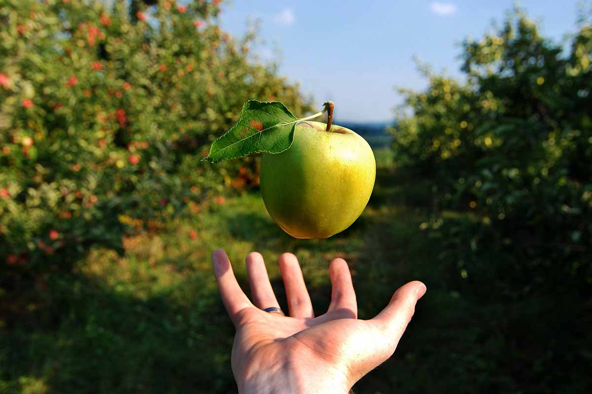 Produire de l'énergie avec la gravité, une chimère ?