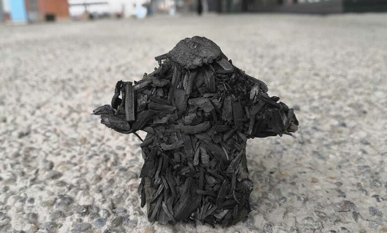 Des chercheurs suisses inventent un isolant recyclable et naturel, le Biochar.