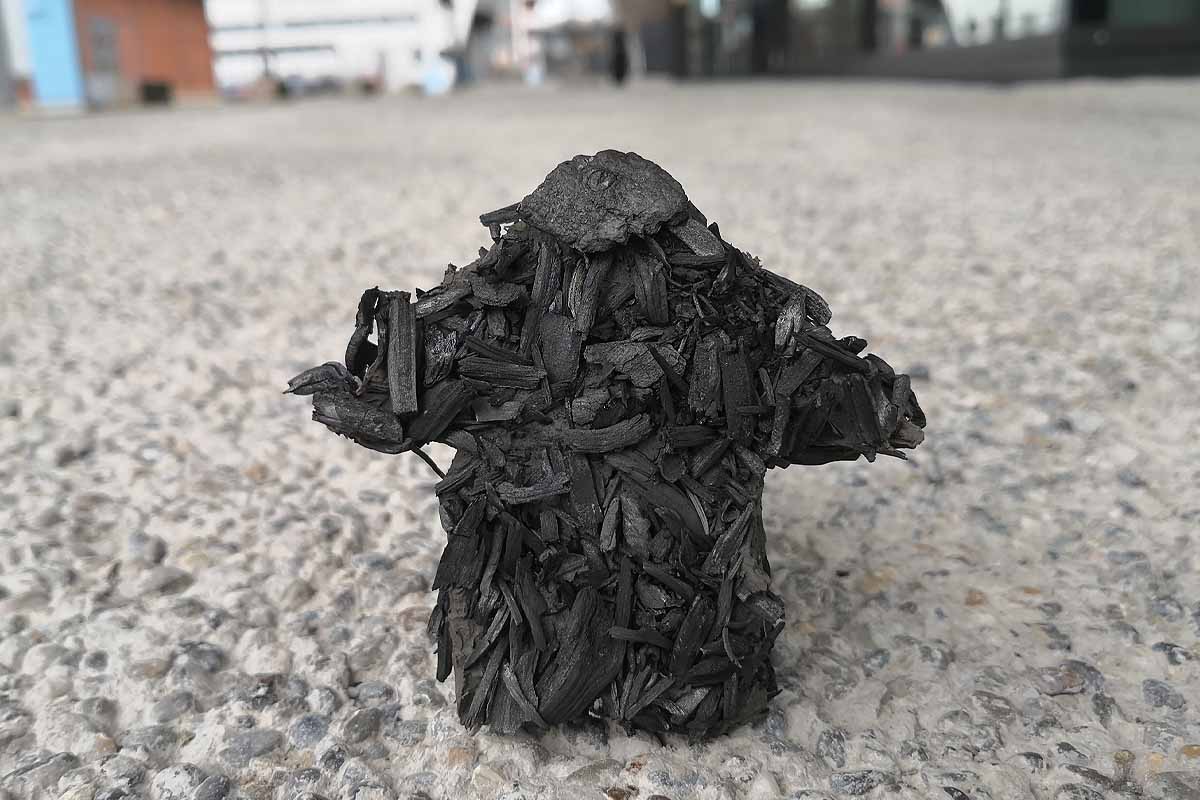 Des chercheurs suisses inventent un isolant recyclable et naturel, le Biochar.