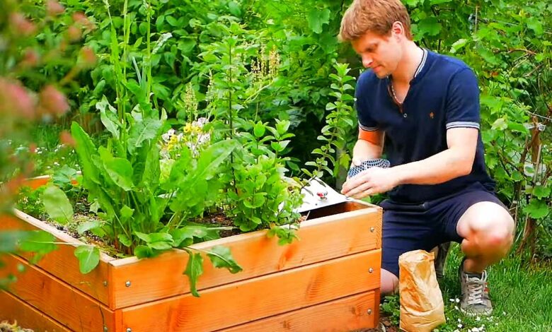 Un composteur pour cultiver des plantes et des légumes.