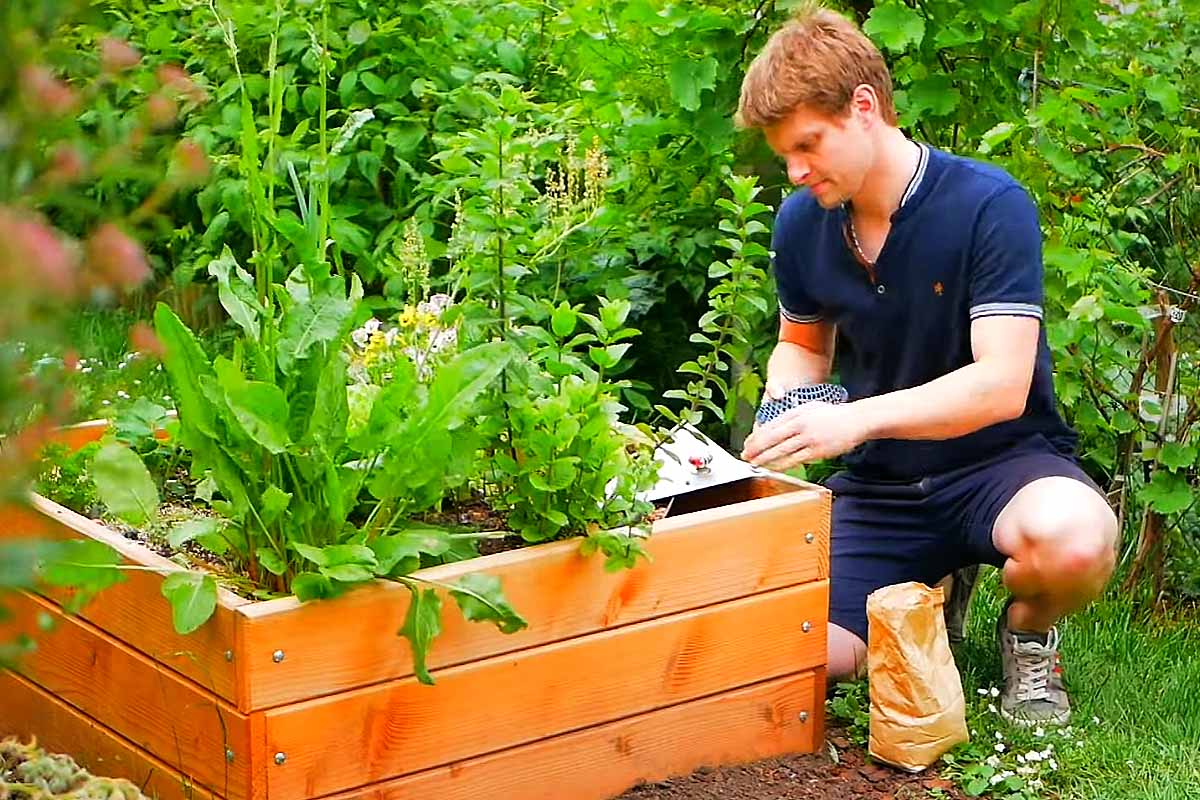 Un composteur pour cultiver des plantes et des légumes.