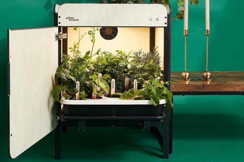 Une invention pour cultiver jusqu'à 2 kilos de fruits, légumes et herbes aromatiques par mois dans sa maison.