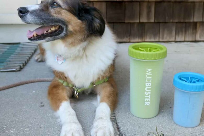 L'invention d'un appareil pour nettoyer facilement les pattes de chien.