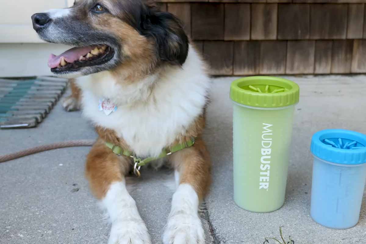 NETTOYEUR PORTABLE POUR PATTES DE CHIEN