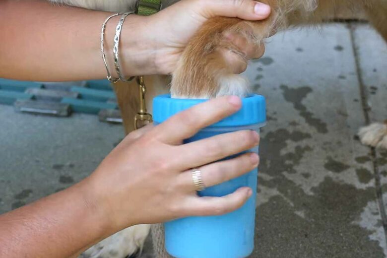 Pour l'utiliser, ajoutez un peu d'eau, insérez la patte boueuse, faites la torsion, tamponnez la patte, répétez pour 3 autres pattes