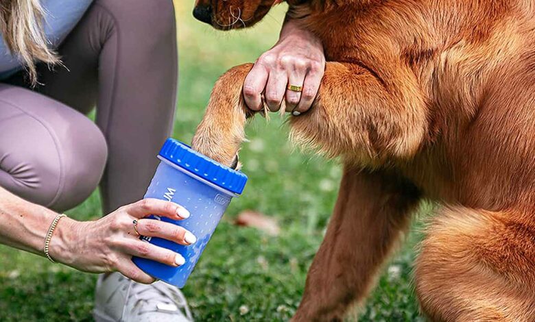 Dexas MudBuster Nettoyeur de pattes de chien portable
