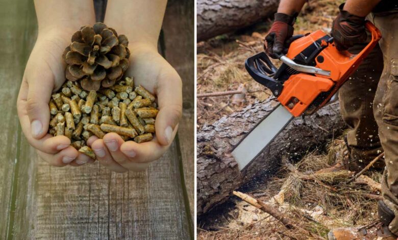 Poêle à granulés : l'invention d'un pellet anti goudron écologique