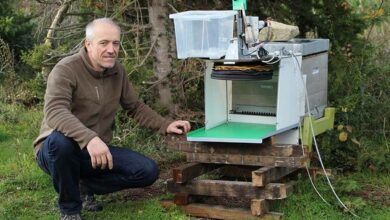 L'invention du premier piège technologique pour protéger l’entrée de la ruche