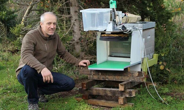L'invention du premier piège technologique pour protéger l’entrée de la ruche