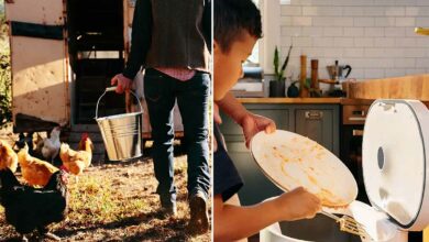 Une poubelle qui transforme les déchets alimentaires en alimentation pour les poules.