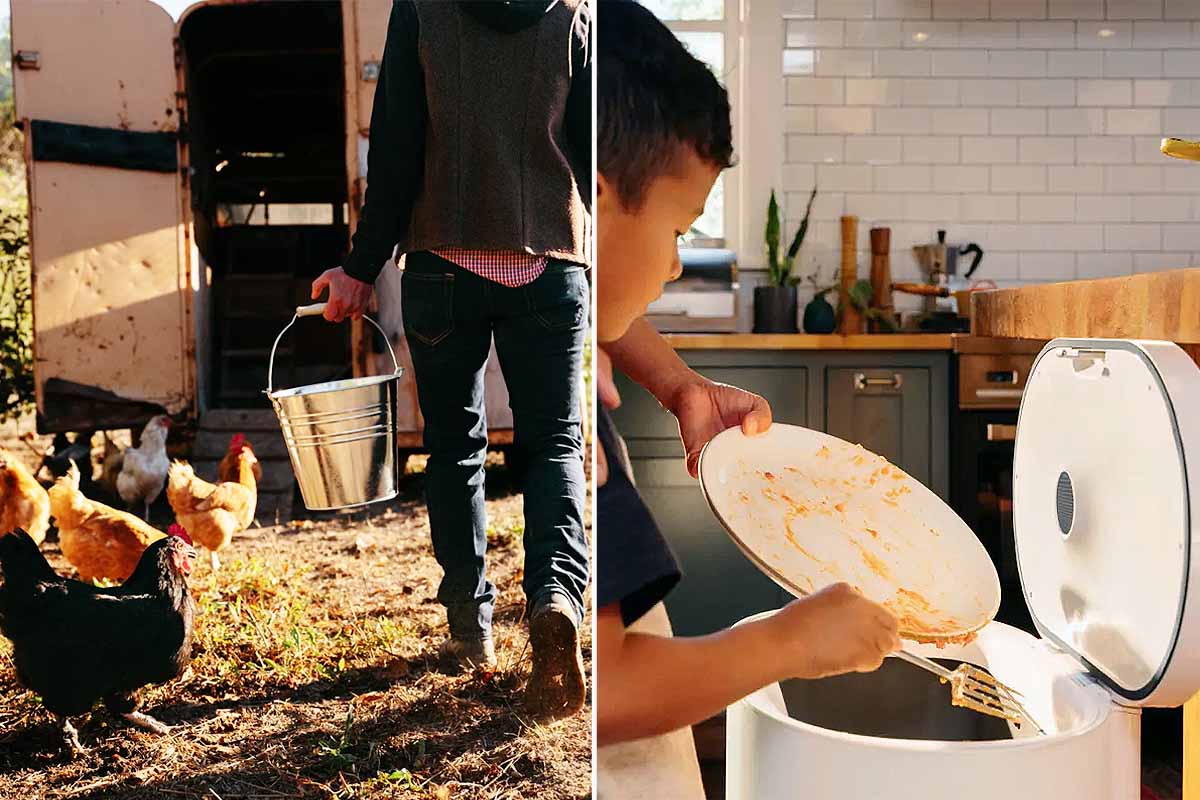 Une poubelle qui transforme les déchets alimentaires en alimentation pour les poules.