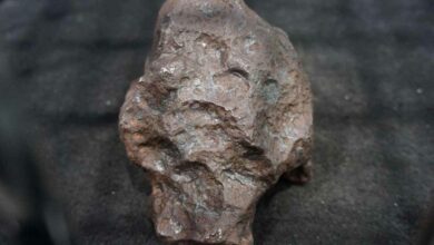 Échantillon de la météorite de fer de Campo del Cielo.