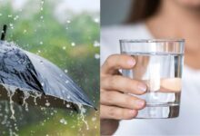 Serait-il autorisé de boire de l'eau de pluie en France ?