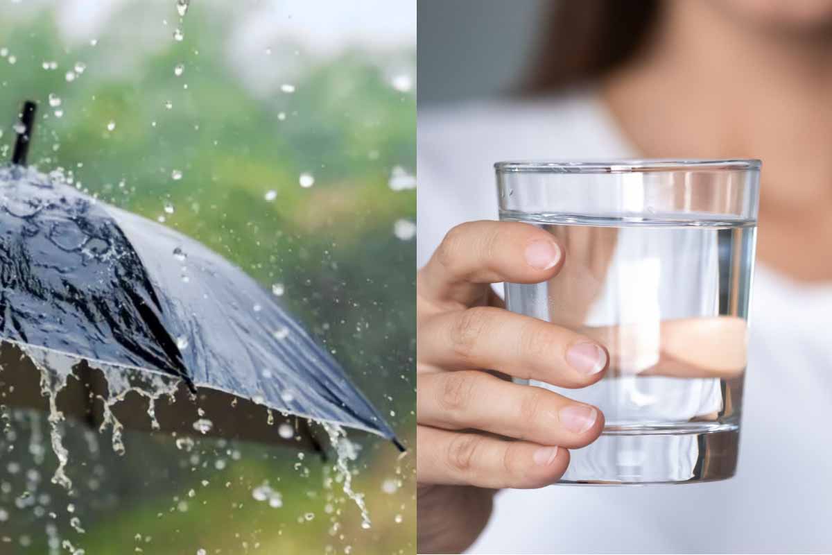 C'est le moment de remettre de l'eau dans votre citerne d'eau de pluie. On  vous explique pourquoi !