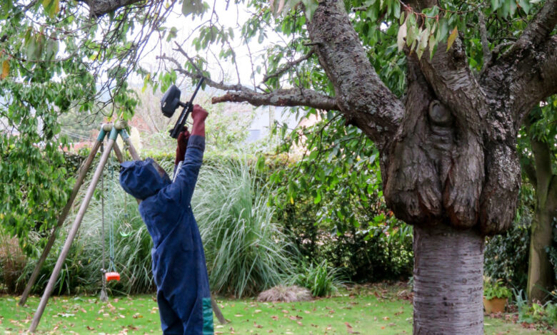 Comment se former pour devenir chasseur de frelons asiatiques ?