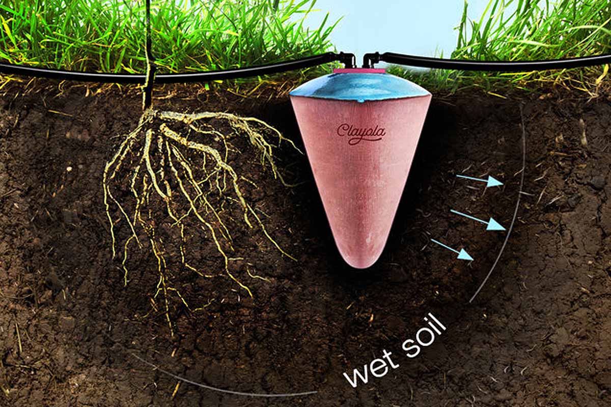Comment obtenir un tuyau d'arrosage écologique à l'eau de pluie ? - My  Little Decouvertes