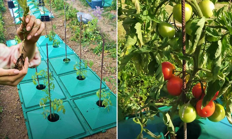 Une invention qui permet de réaliser une économie d’eau de 40 %.