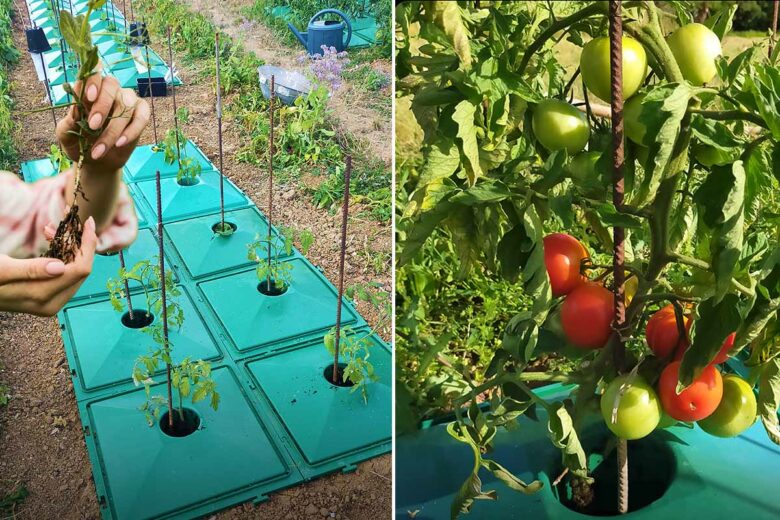 Une invention qui permet de réaliser une économie d’eau de 40 %.