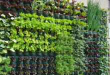 Un jardin potager vertical permet d'optimiser l'espace.