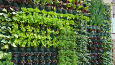 Un jardin potager vertical permet d'optimiser l'espace.