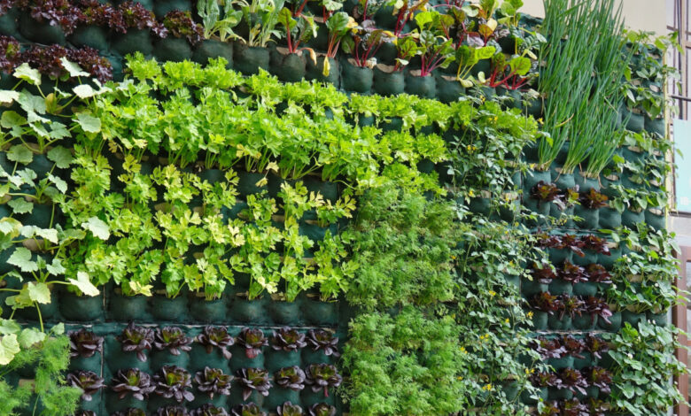 Un jardin potager vertical permet d'optimiser l'espace.