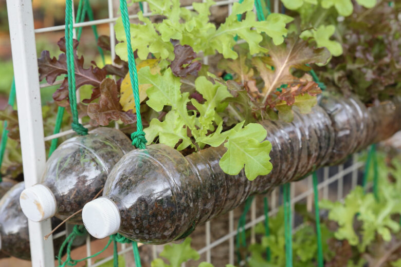 Il est possible de fabriquer un jardin potager vertical avec des matériaux de récupération.