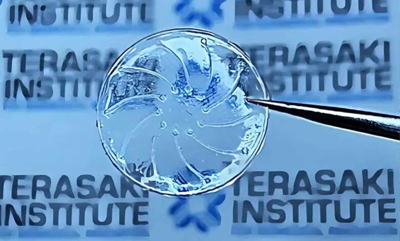 Les scientifiques ont inventé un prototype de lentille de contact spécialement conçu pour prévenir la sécheresse oculaire induite par les lentilles de contact.