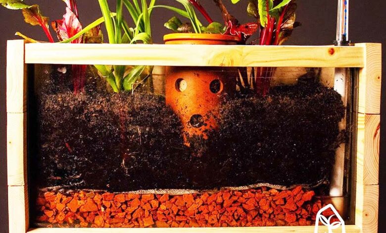 Une innovation pour valoriser les épluchures de fruits et légumes.
