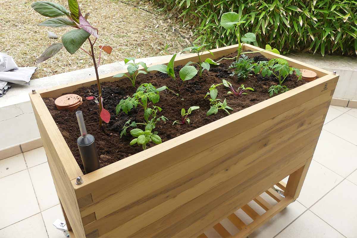 Bioclimakit : l'invention d'un lombricomposteur à enterrer qui permet de  composter ses biodéchets en appartement - NeozOne