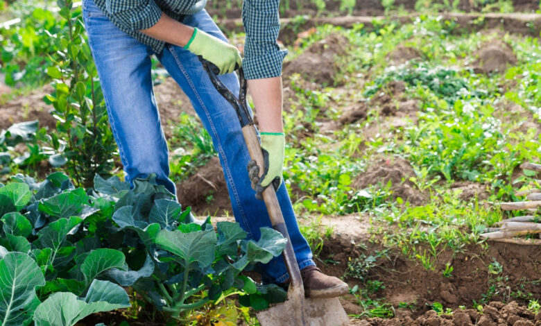 L'invention d'un manche de jardinage universel qui permet de biner sans avoir mal au dos