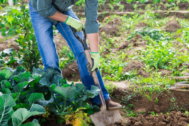 L'invention d'un manche de jardinage universel qui permet de biner sans avoir mal au dos