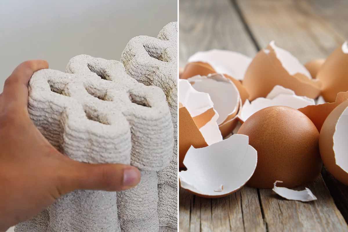 EggBricks: la invención de un ladrillo biocerámico, un material de construcción hecho a partir de cáscaras de huevo