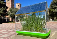Un prototype de serre avec un toit composé de cellules solaires organiques semi-transparentes.