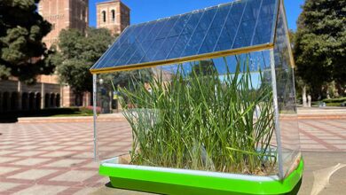 Un prototype de serre avec un toit composé de cellules solaires organiques semi-transparentes.
