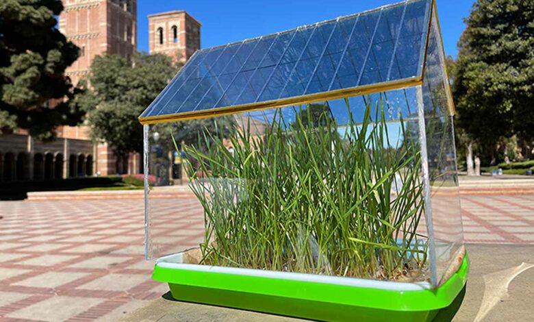 Un prototype de serre avec un toit composé de cellules solaires organiques semi-transparentes.