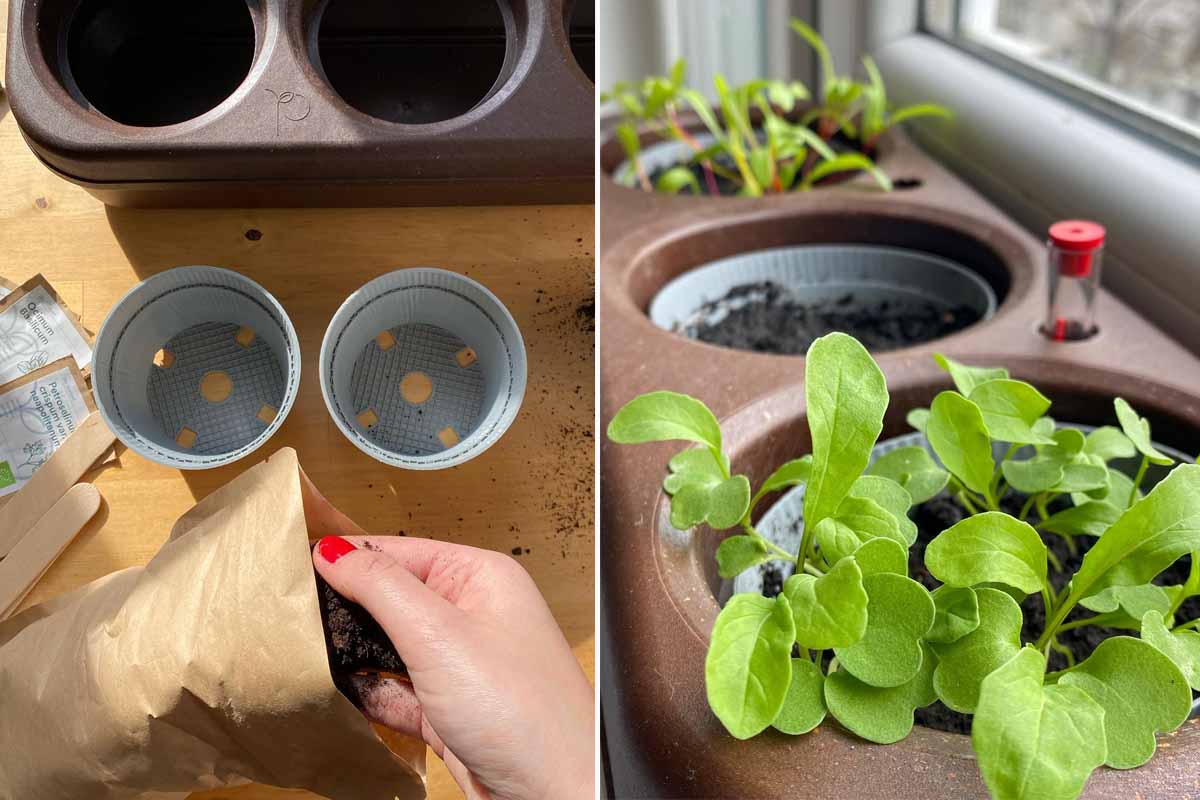 L'invention d'un potager semi-hydroponique en liège pour cultiver en ville, en un minimum d’espace.