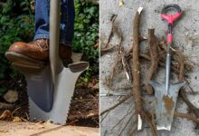 Radius Garden / Root Slayer réinvente la pelle bêche avec des cales pour les pieds et des bords avec des scies intégrées.