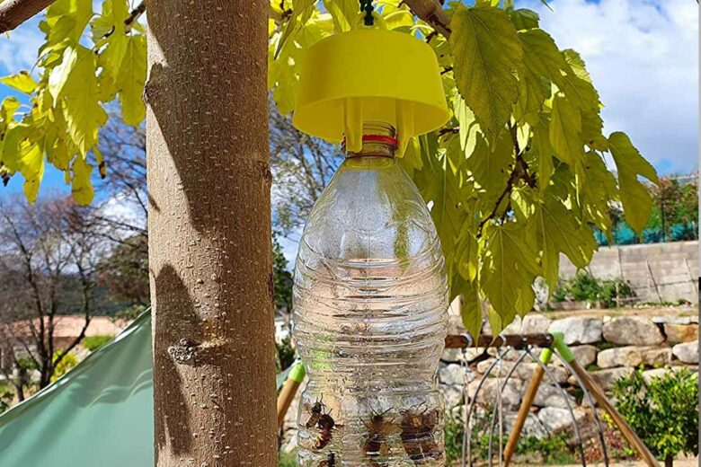 Un piège qui se fixe sur les bouteilles en plastique.