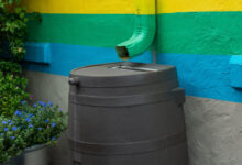 Un tonneau collecteur d'eau de pluie.