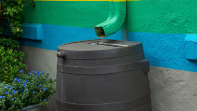 Un tonneau collecteur d'eau de pluie.