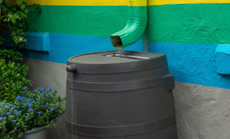 Un tonneau collecteur d'eau de pluie.