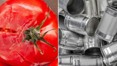 L'invention d'un revêtement protecteur à base de marc de tomate.