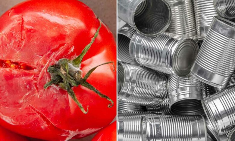 L'invention d'un revêtement protecteur à base de marc de tomate.