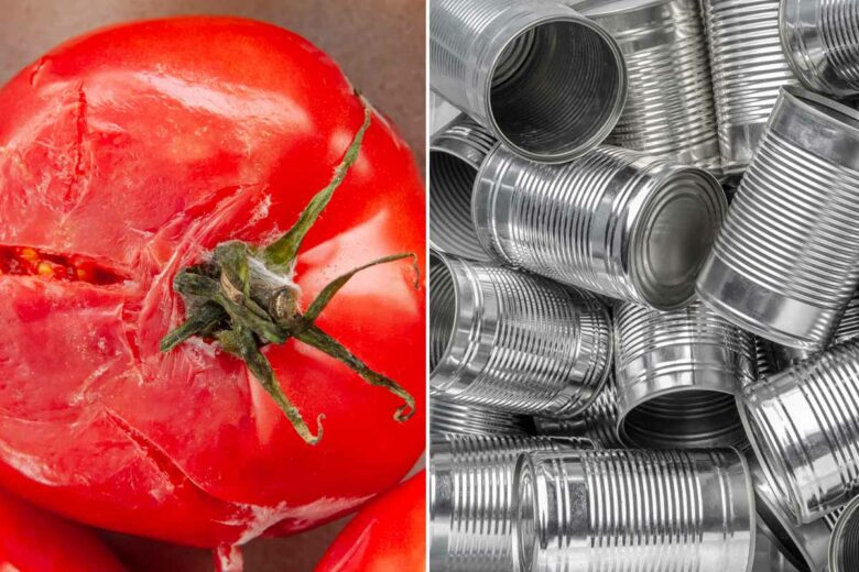 L'invention d'un revêtement protecteur à base de marc de tomate.