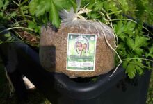 L'invention d'un engrais naturel certifié utilisable en agriculture biologique.