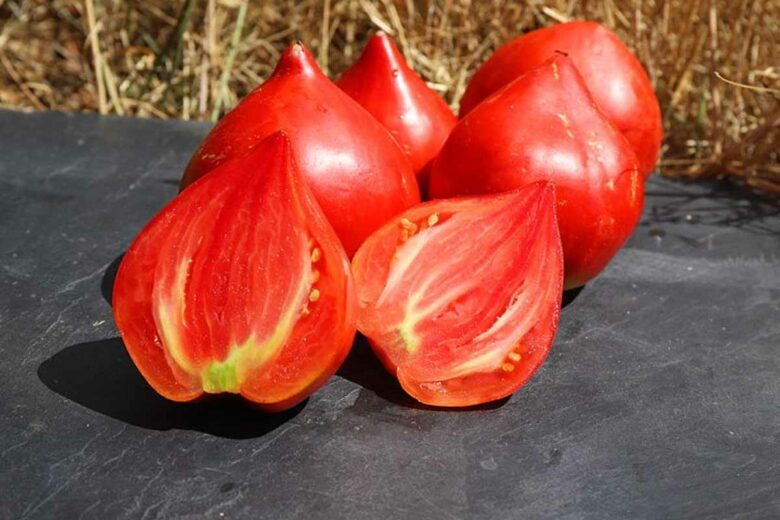 Tomate Cœur De Bœuf Rouge