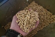 Les meilleurs pellets de bois.