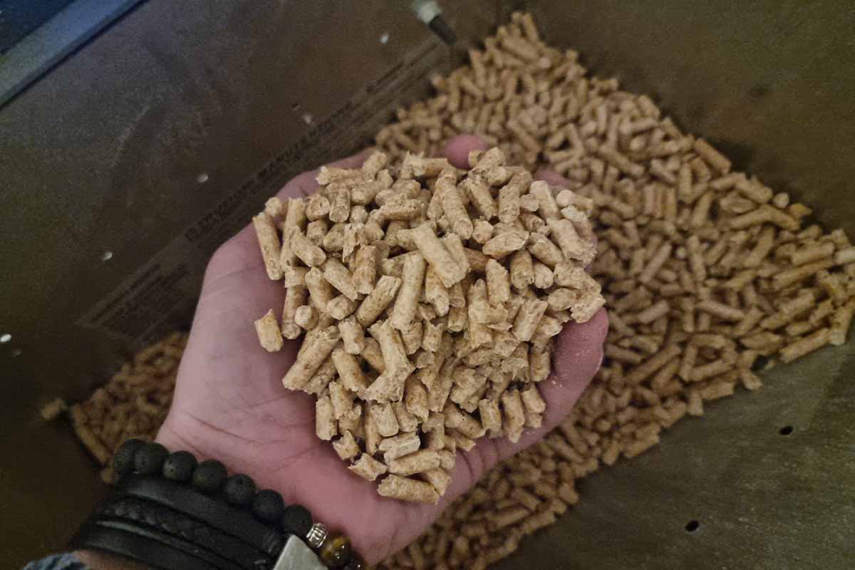 Des pellets de bois à 0,13 € le kilo avec une presse destinée à la  fabrication de granulés pour l'alimentation animale - NeozOne